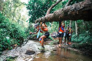 BIB: 
                            <button type="button" onclick="openModal(25369962)" class="btn btn-primary btn-sm float-right btn-popup" data-toggle="modal" data-target=".modal-high-quality">
                        <i class="fas fa-shopping-cart"></i> Add to Cart
                    </button>
                                            <button type="button" onclick="isThisMe(25369962, true)" class="btn btn-success btn-sm float-right btn-popup btn-isme hidden" data-toggle="tooltip" data-placement="bottom" title="นี่คือรูปของคุณใช่ไหม คลิกที่นี่เพื่อเอาเข้าอัลบั้ม">
                        <i class="fas fa-plus"></i> Add to album
                    </button>
                    <button type="button" onclick="isThisMe(25369962, false)" class="btn btn-warning btn-sm float-right btn-popup btn-isnotme hidden">
                        <i class="fas fa-ban"></i> Remove from album
                    </button>